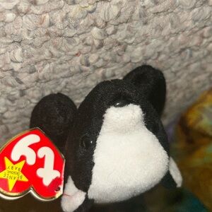 Meet stinky the beanie baby skunk
